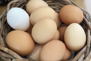 Harvest Moon, Lower Curscombe Barns, Self Catering Holiday Cottage, Devon